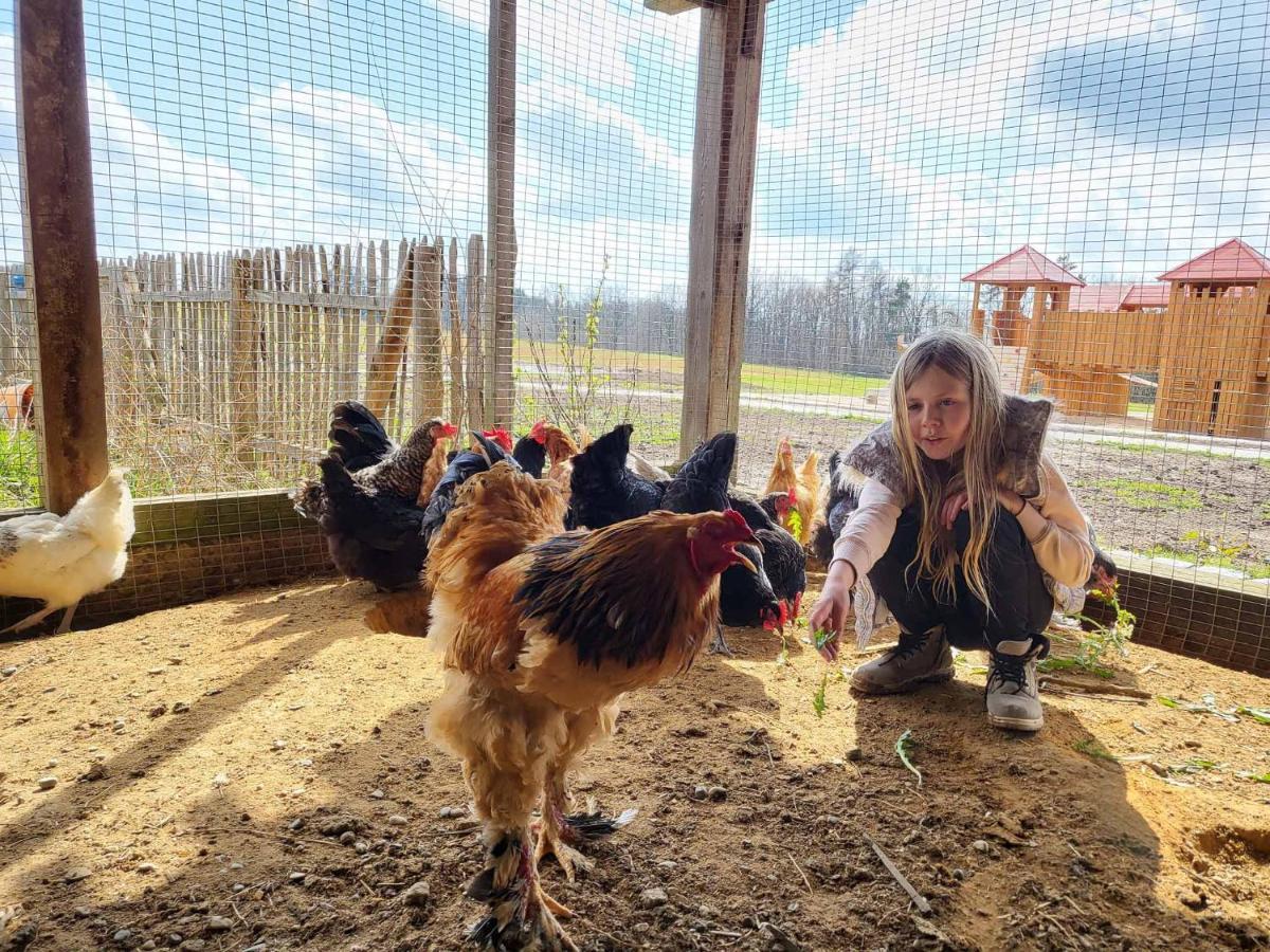 Ferienhof Gutmichel Feuchtwangen Esterno foto